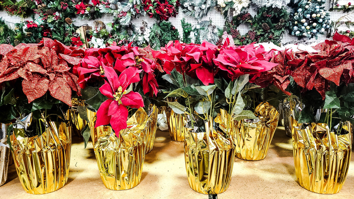 A Guide to Flower Pot Wraps The Perfect Way to Sell Poinsettias The