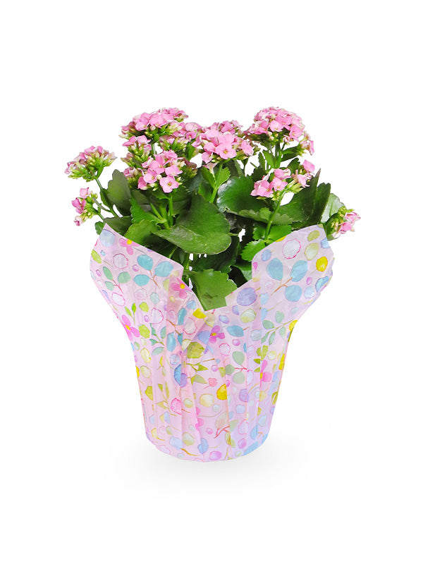 Multicolored pastel pot cover with pink plant