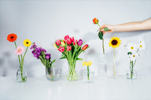 Sustainable Floristry: How to Be an Eco-Friendly Florist