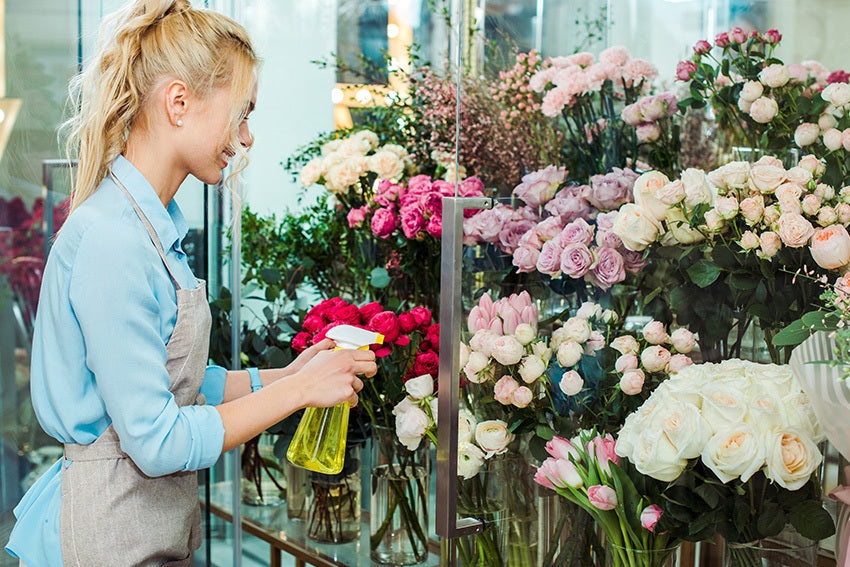 New Chrysal Floral Care Products Every Florist Should Be Using – The ...