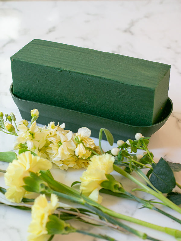 10 inch double design bowl in green with green foam inside