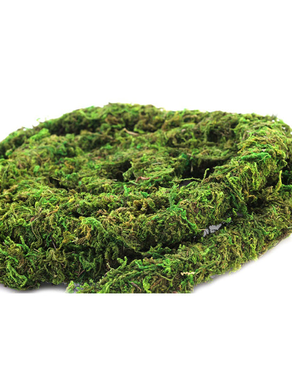 6 ft Moss Vine zoom detail
