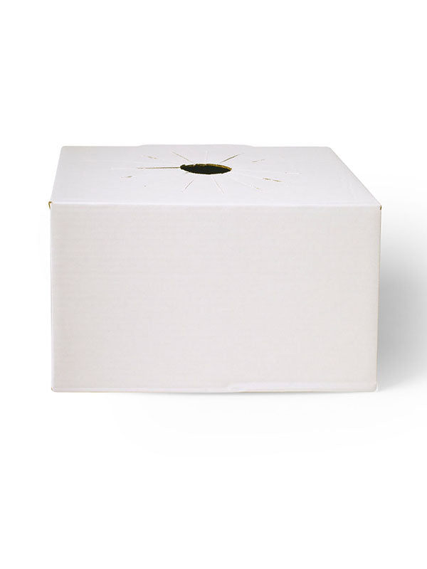 Jetwrap Extra Large Rose Vase Box #611XL