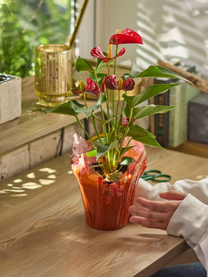 wrap around plant pots Amberleaf Pot Cover – Autumn Leaf Design (100 Pack) – The Florist Supply Shop