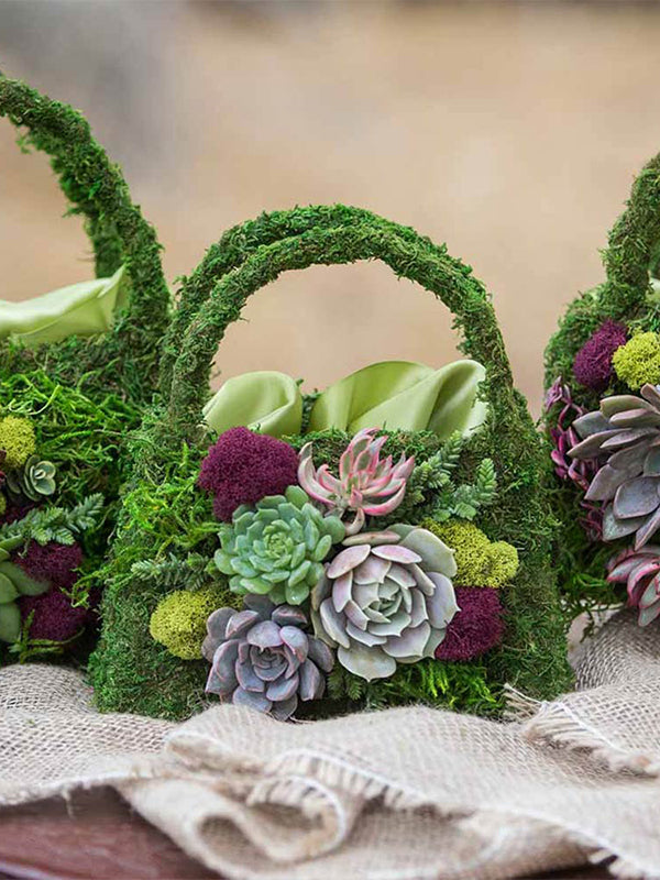 Beaumont Purses used with succulents