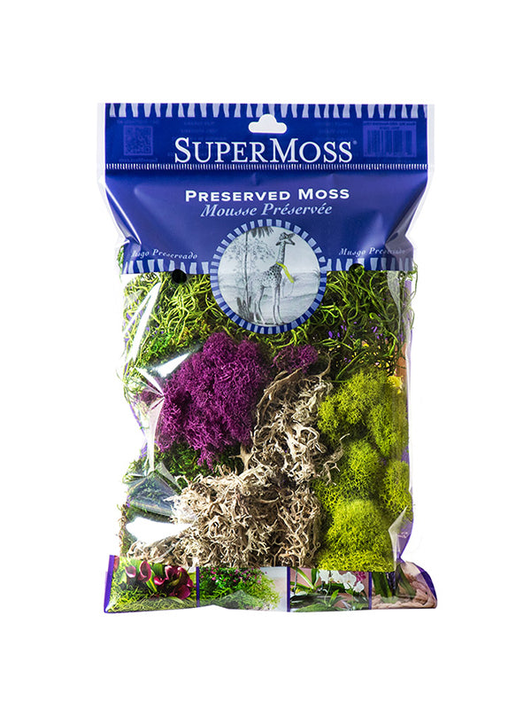 Super Moss Best Sellers Moss Mix Bag