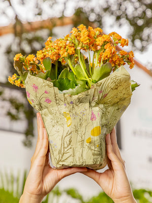 Printed Pot Cover with plant