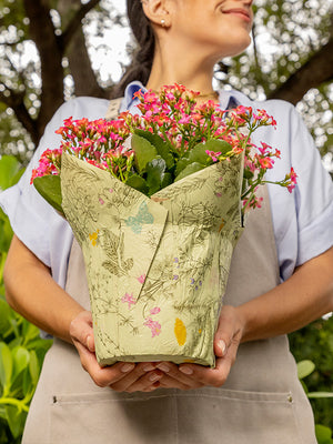 Printed Pot Cover with plant