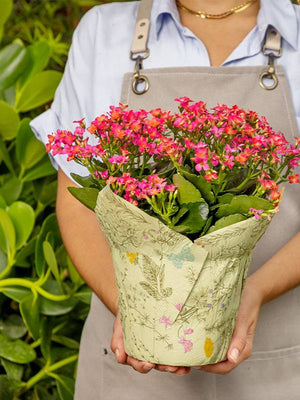 large plant pot covers Botanical Kraft Pot Cover – The Florist Supply Shop