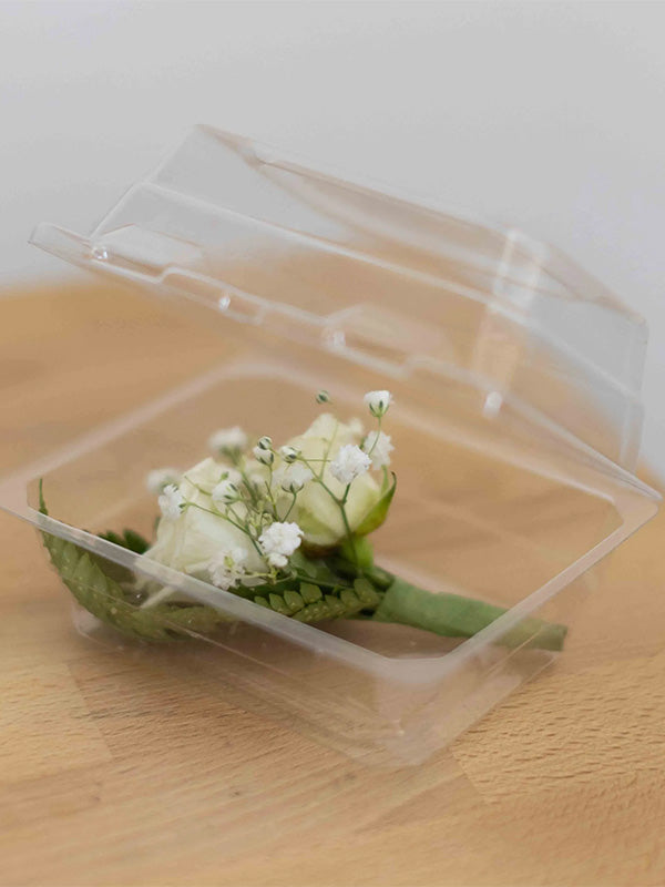 Clear Plastic Boutonniere Box with white rose