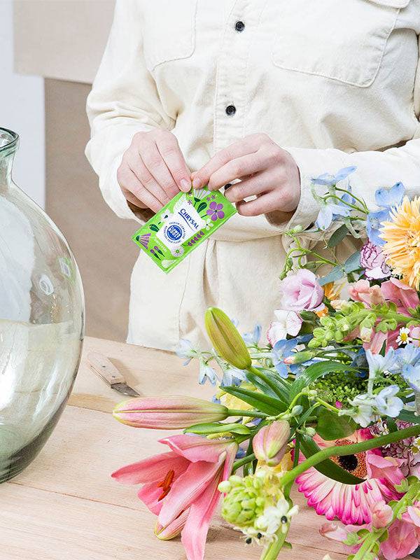 chrysal flower food for potted plants Chrysal Flower Boost Clear Flower Food Packets for Flower Arrangements & Bouquets Floral Supplies for Fresh Flowers Fresh Flower Arrangements