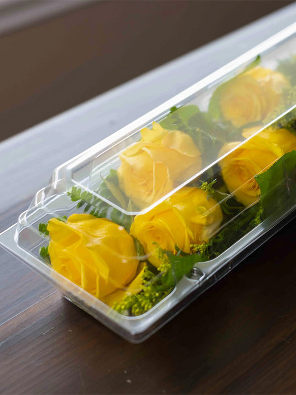 Clear Dozen Rose Box with yellow roses
