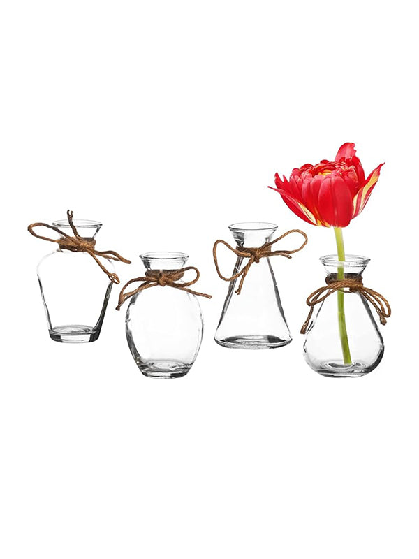Mini Glass Bud Vase Set with Twine
