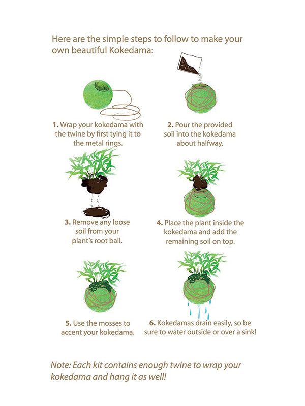 Kokedama Kit Instructions