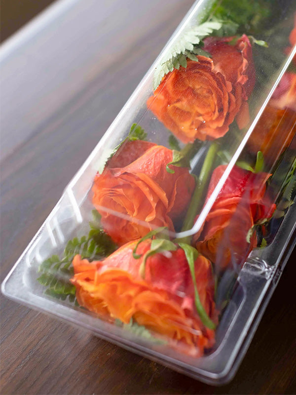 Clear Large Dozen Rose Box with orange roses