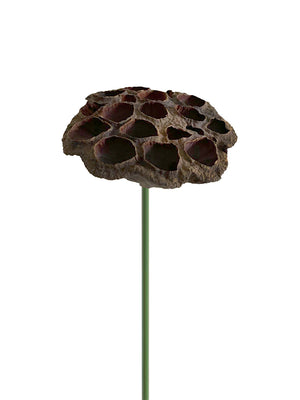 Lotus Pick