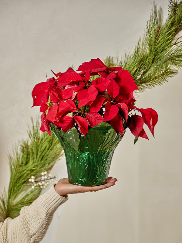 Metallic Green Pot Cover