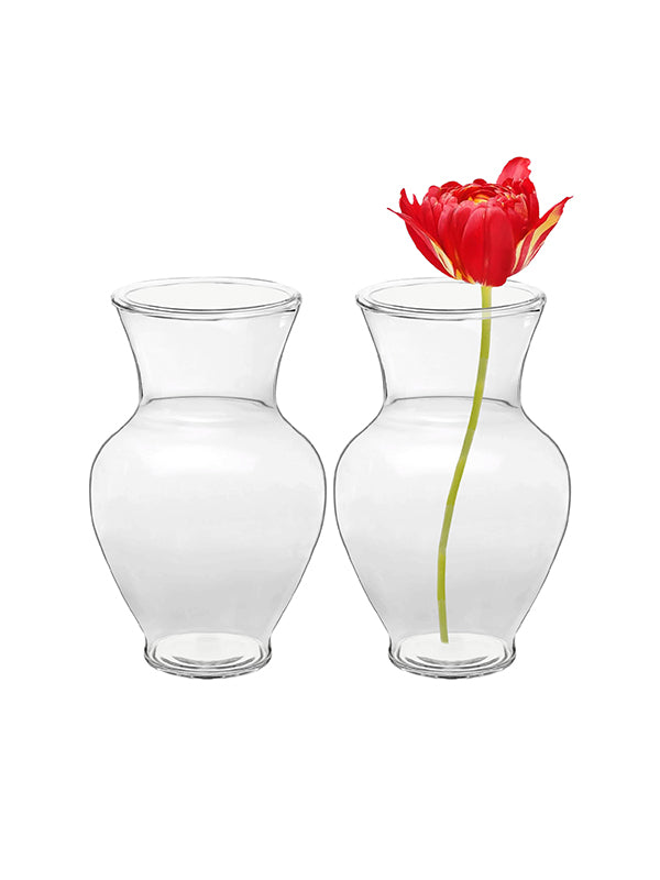 Mini Clear Glass Vase Duo – 5"