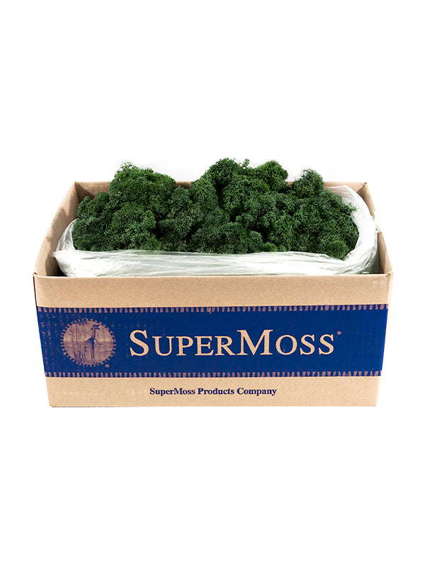 Super Mos Super Moss – The Florist Supply Shop