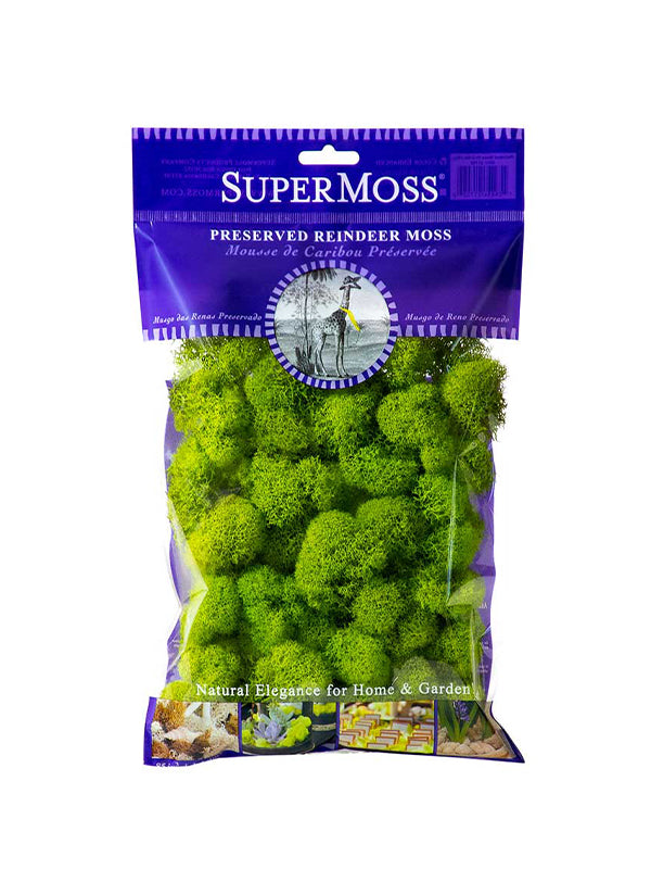 Reindeer Moss Bag in Apple Green