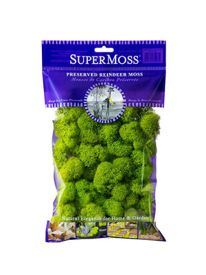 Reindeer Moss Bag in Apple Green
