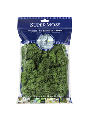 Reindeer Moss Bag in Basil
 Green