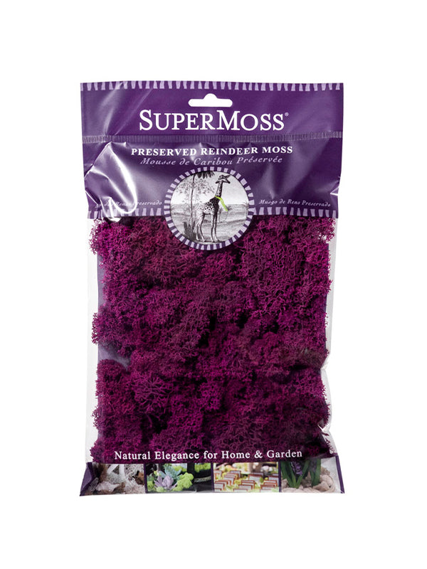 Reindeer Moss Bag in Fuchsia Pink