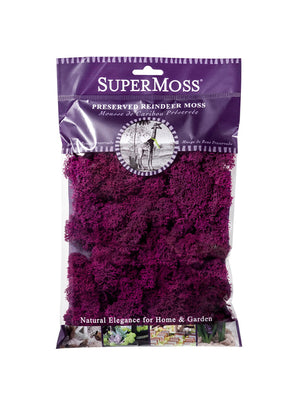 Reindeer Moss Bag in Fuchsia Pink