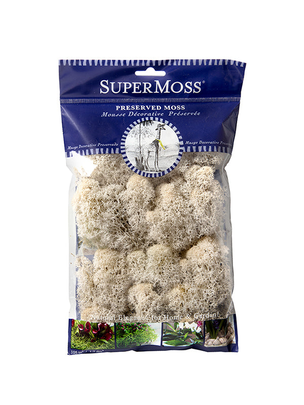 Reindeer Moss Bag in Natural