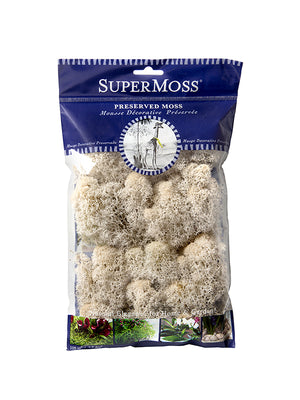 Reindeer Moss Bag in Natural