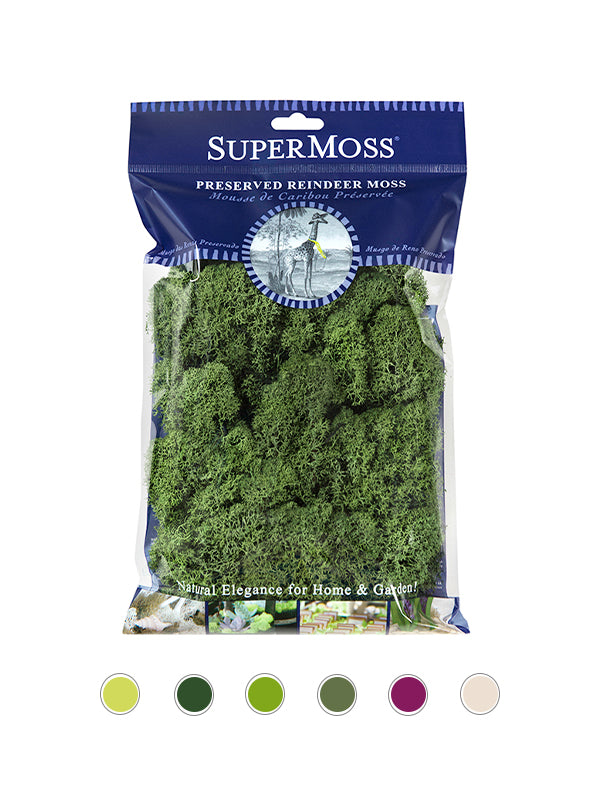 Reindeer Moss Bag in Basil
 Green