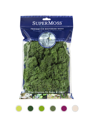 Reindeer Moss Bag in Basil
 Green