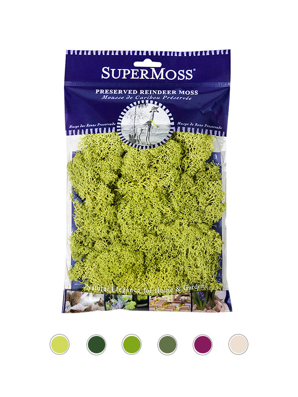 Reindeer Moss Bag in Chartreuse Green