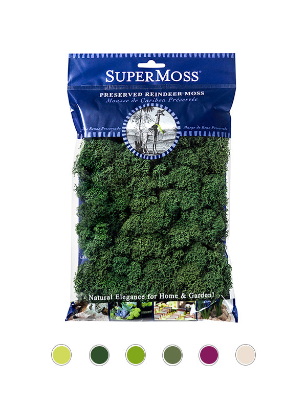 Reindeer Moss Bag in Forest Green