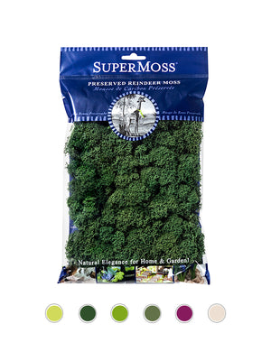 Reindeer Moss Bag in Forest Green
