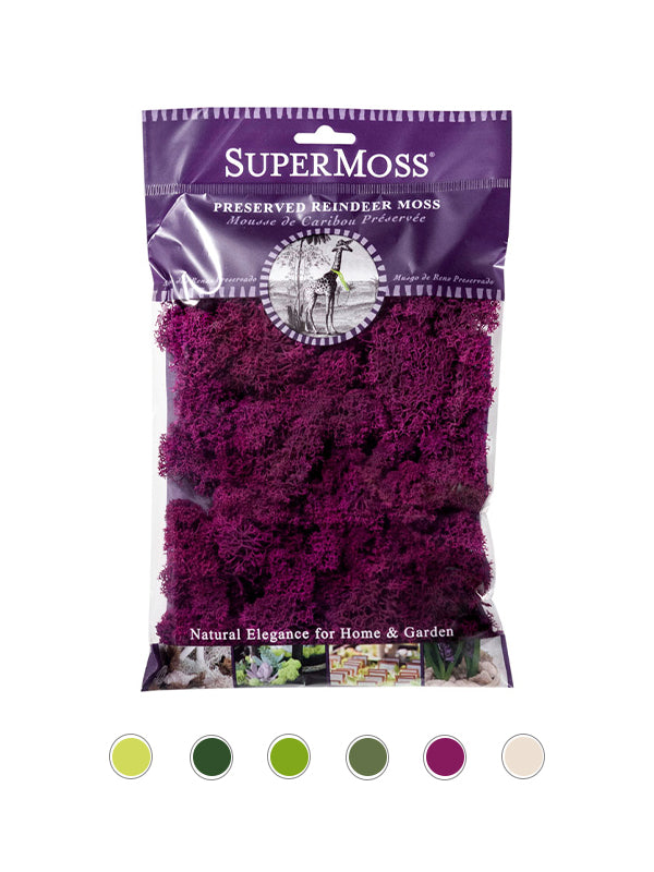 Reindeer Moss Bag in Fuchsia Pink
