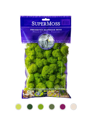Reindeer Moss Bag in Apple Green