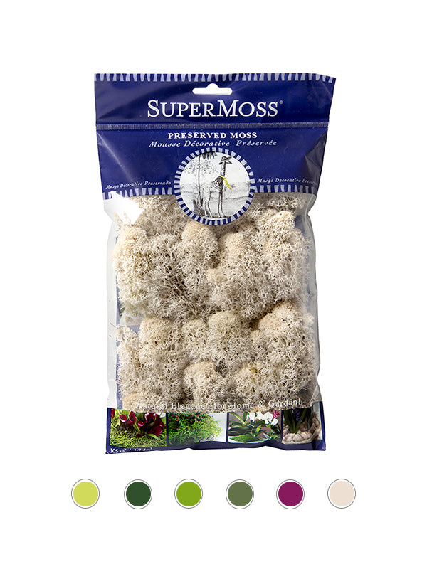 Reindeer Moss Bag in Natural