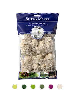 Reindeer Moss Bag in Natural