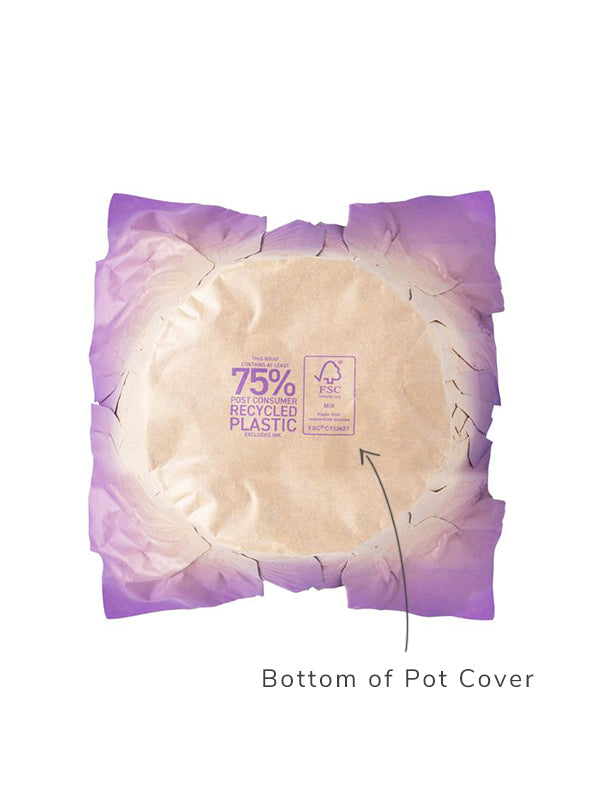 Vista Kraft Pot Cover Bottom in Purple