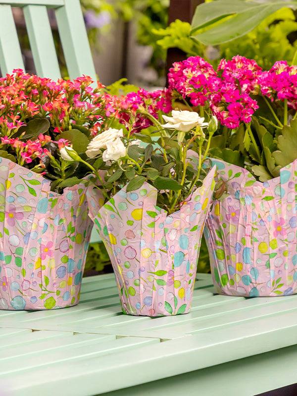 pot cover plant Petite Petals Pot Cover