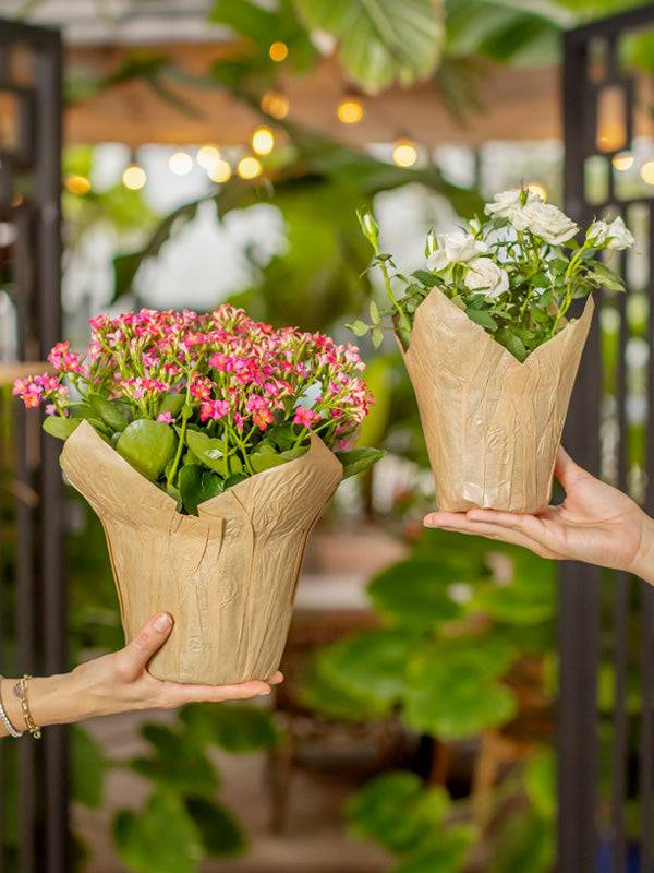 pot cover plant Natural Kraft Pot Cover